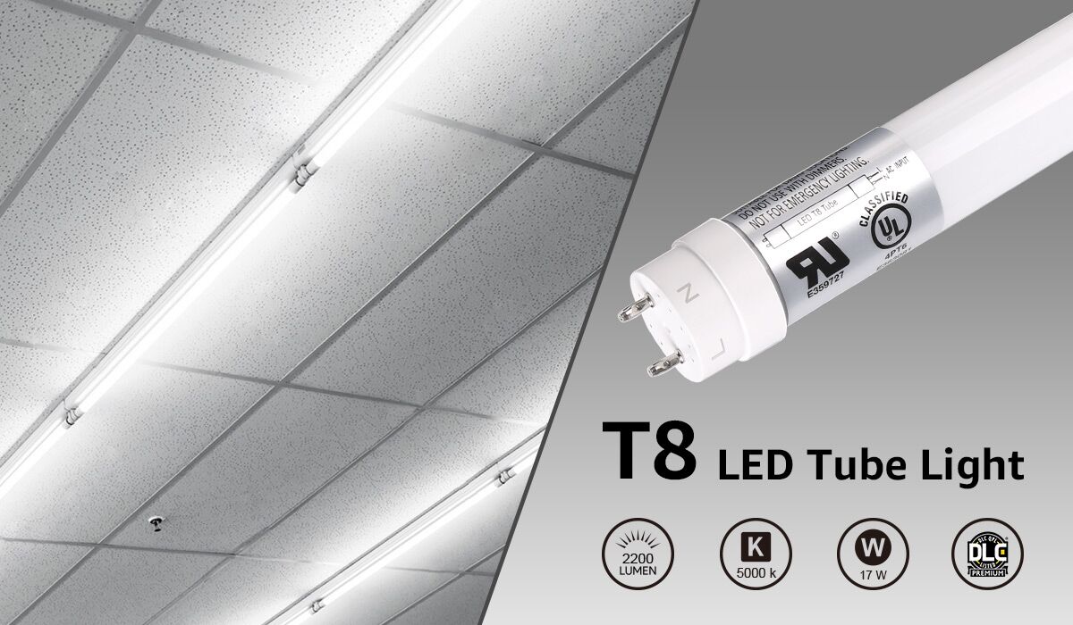 T8 Type B 4ft LED Tube Lights 