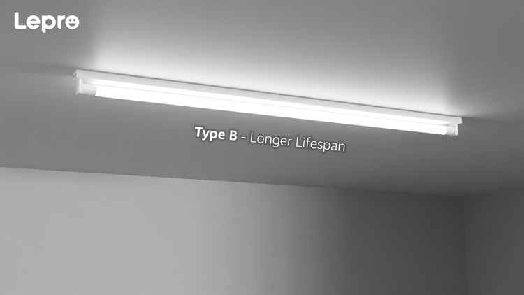 Type A-longert lifespan