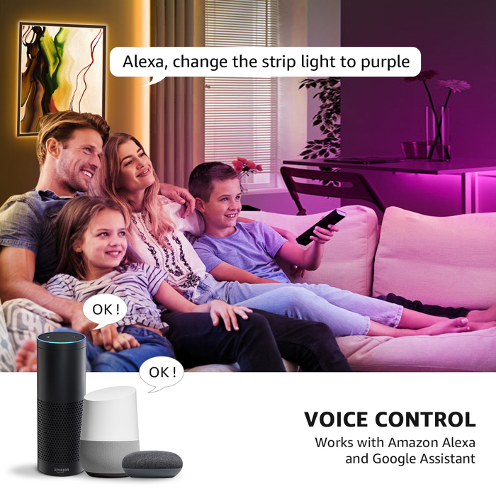 voice control